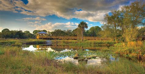 Conservancy of southwest florida - Right Side. For 60 years, the Conservancy of Southwest Florida has been a leading environmental advocacy organization dedicated to protecting the water, land, wildlife and future of our five-county area.